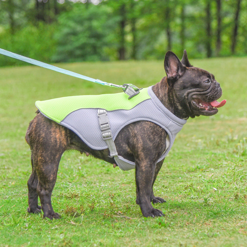 Breathable Summer Dog Cooling Vest – Heat-Resistant, Sun-Proof Jacket for Dogs